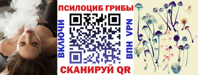 магазин продажи наркотиков  Стрежевой  Галлюциногенные грибы прущие грибы 
